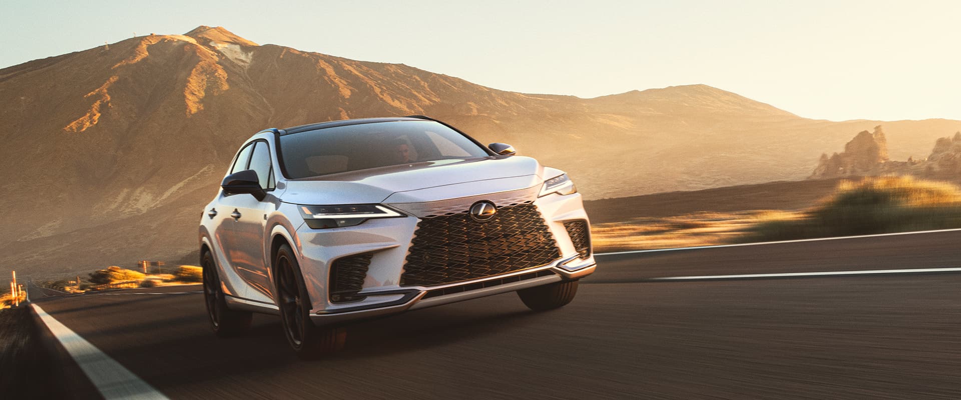 Lexus RX Performance